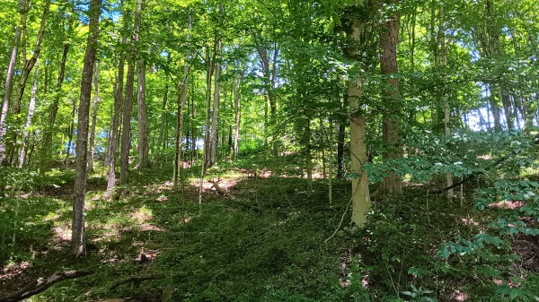 Creekview Cabin on Little Raccoon Creek property photo