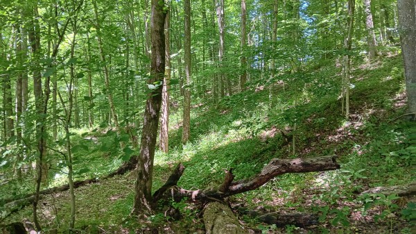 Creekview Cabin on Little Raccoon Creek property photo