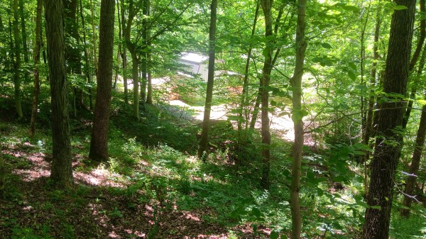 Creekview Cabin on Little Raccoon Creek property photo