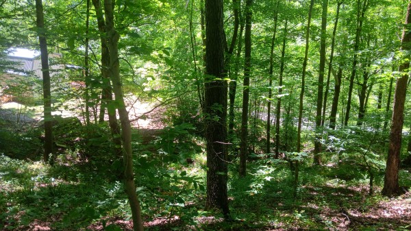 Creekview Cabin on Little Raccoon Creek property photo