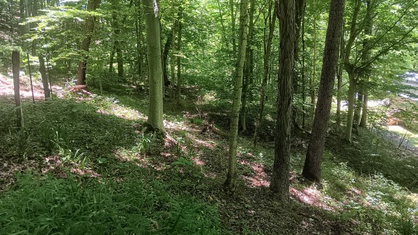 Creekview Cabin on Little Raccoon Creek property photo