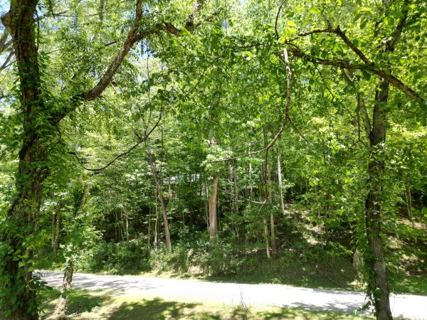 Creekview Cabin on Little Raccoon Creek property photo