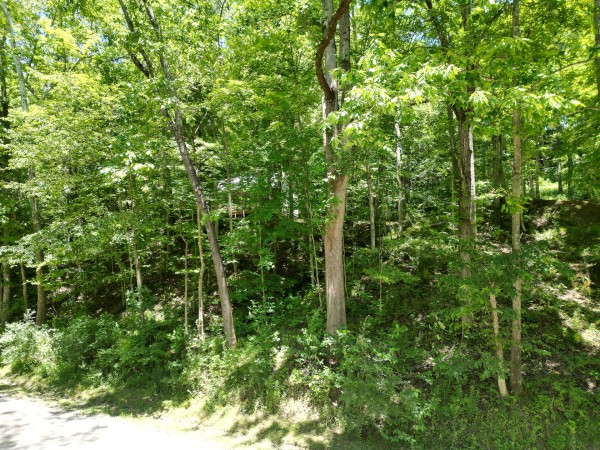Creekview Cabin on Little Raccoon Creek property photo