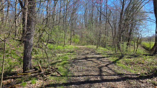 Tract 6 - Millstone Caves property photo