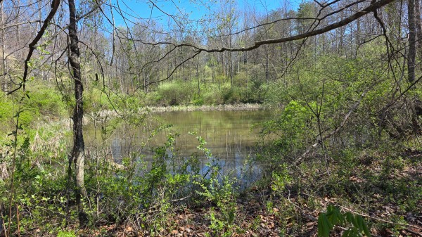 Tract 6 - Millstone Caves property photo