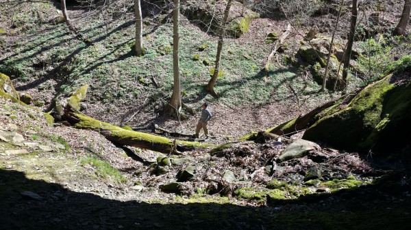 Tract 6 - Millstone Caves property photo