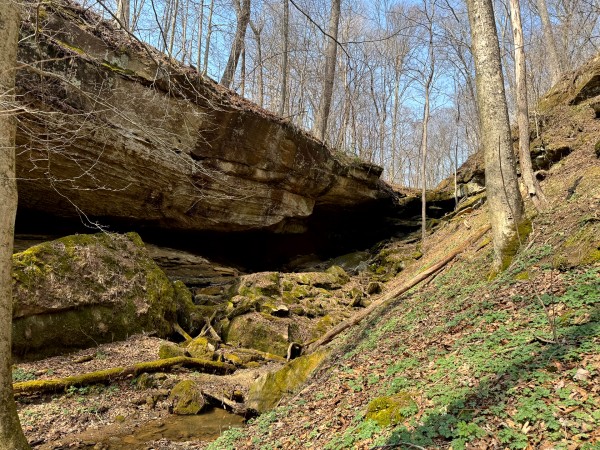 More of Tract 6 - Millstone Caves