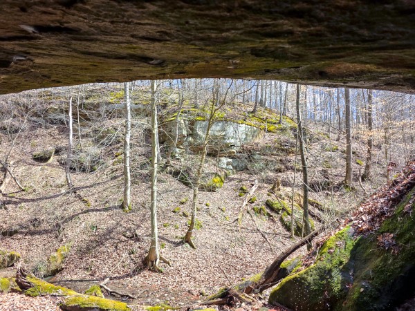 More of Tract 6 - Millstone Caves