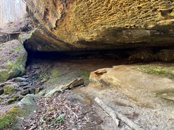 More of Tract 6 - Millstone Caves