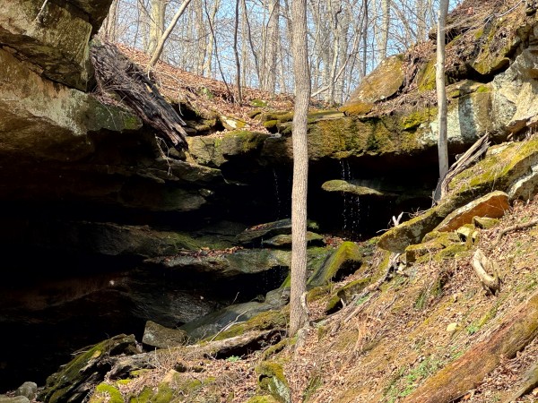 More of Tract 6 - Millstone Caves