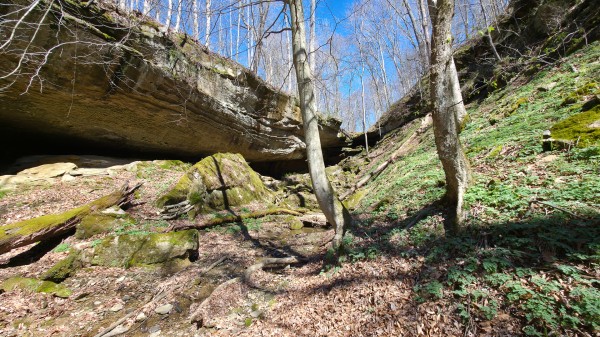 Tract 6 - Millstone Caves property photo