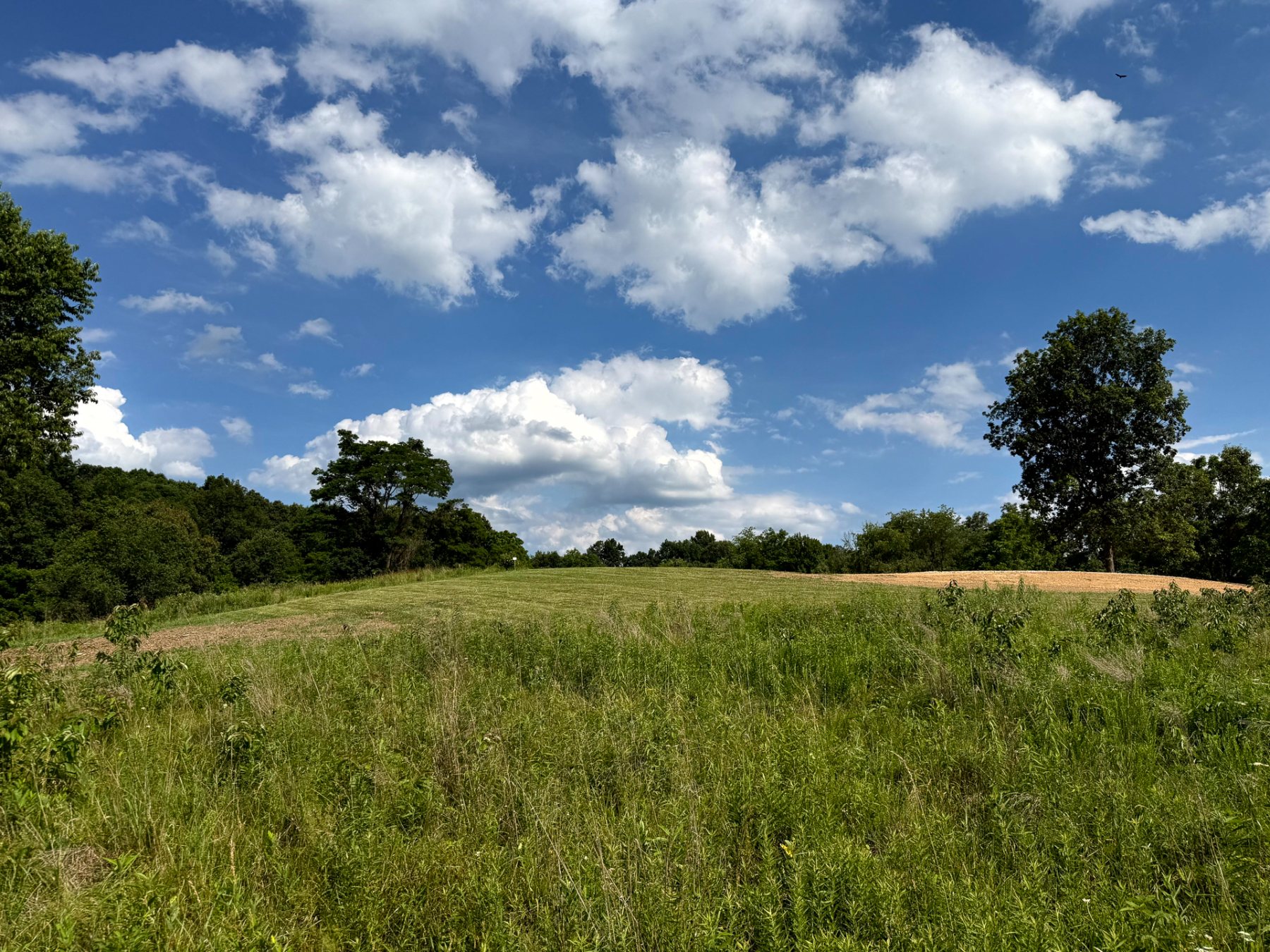 Tract 5 at Jackson Oaks property photo
