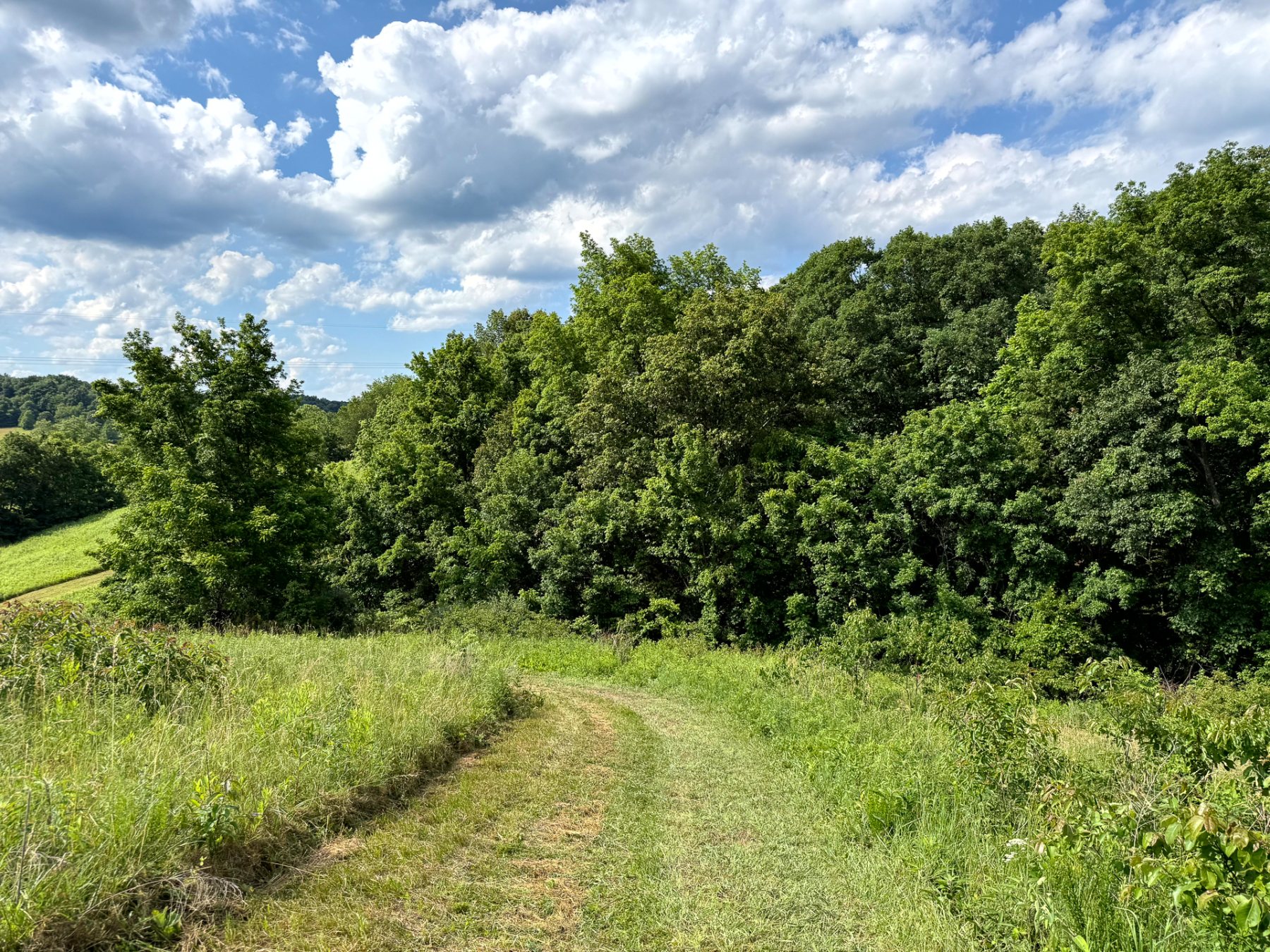 Tract 5 at Jackson Oaks property photo