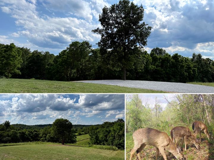 Tract 5 at Jackson Oaks