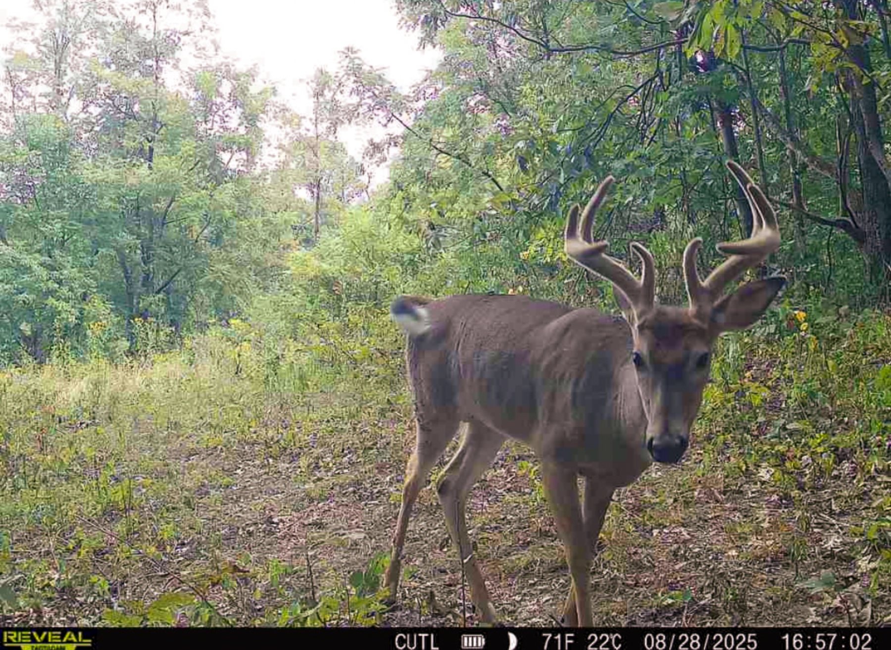 More of Tract 5 at Jackson Oaks