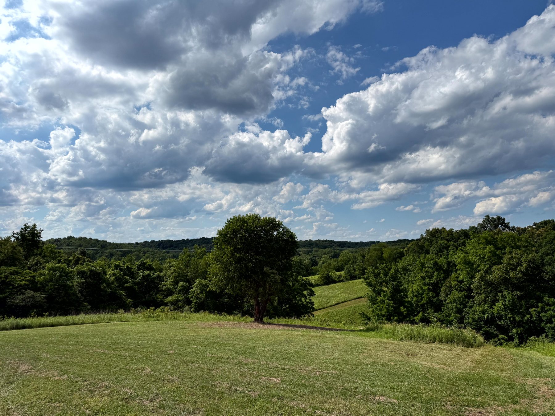 Tract 5 at Jackson Oaks property photo