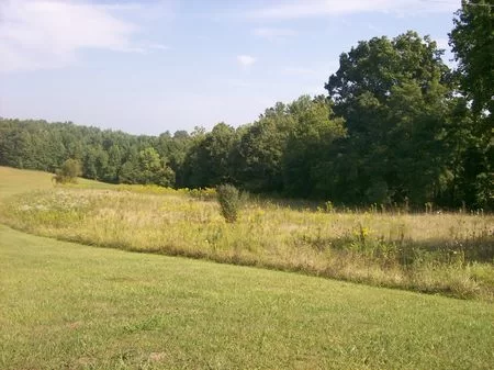 17 Acre Hunting Tract with Trails property photo 1