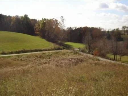 2.69 Acre Country Homesite - Cheap property photo 1