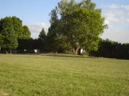 4 Acre Building Lot W/ New Driveway property photo 1