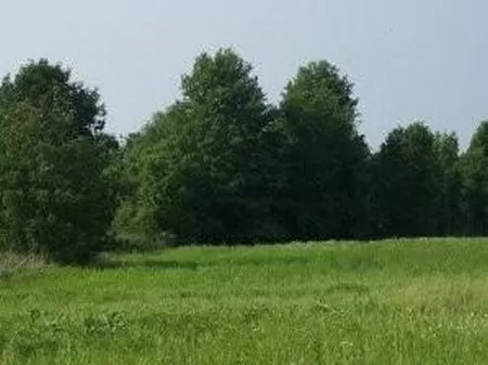 Beautiful 1.5 Acre Homesite