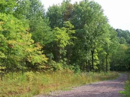 Wooded 5 Ac. Lot Near Hocking Hills property photo 1