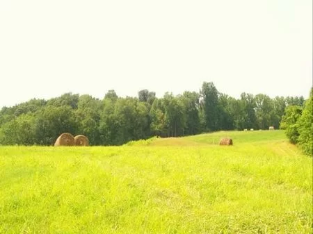 20 Acre Lot To Build, Hunt, Or Farm property photo 1