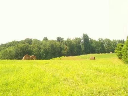 20 Acre Lot To Build, Hunt, Or Farm