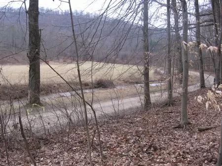 Wooded Campsite On 63,000 Ac Forest