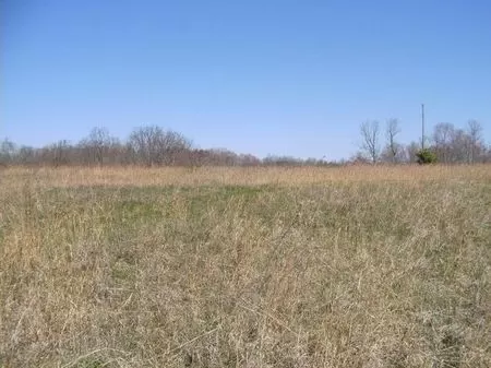 5 Acre Building Lot