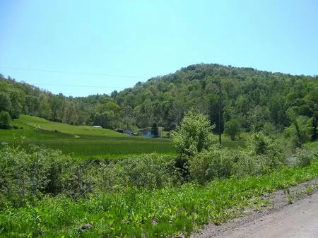 39 Acres with House and Woods property photo 1