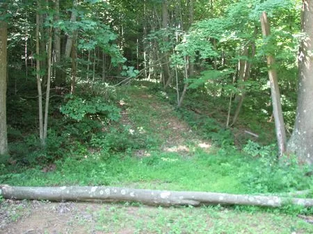 40 Acre Wooded Hunting Retreat property photo 1