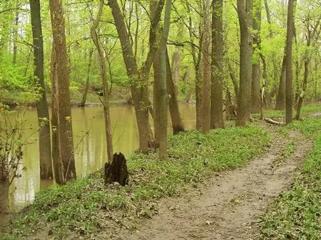 6 Ac. with River Frontage and Woods