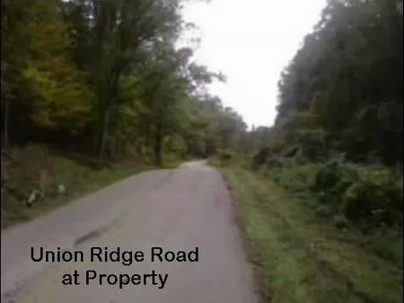 24 Wooded Acres Perfect for Hunting property photo 1