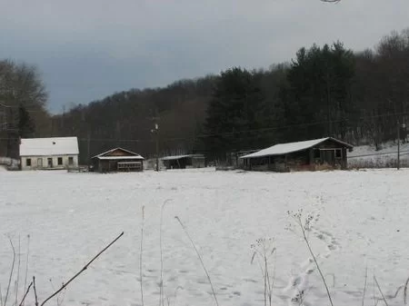 68 Acres Has Houses property photo 1
