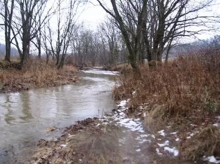 30 Acres Deer Country