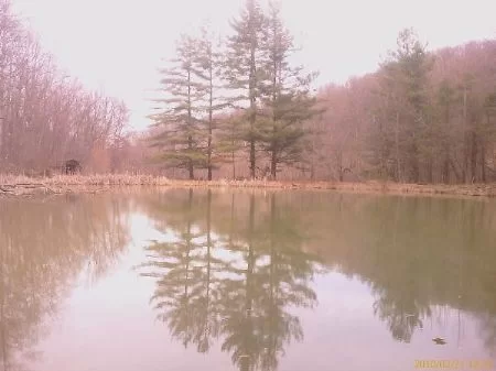 44 Acres Cabin Pond Horse Stables property photo 1