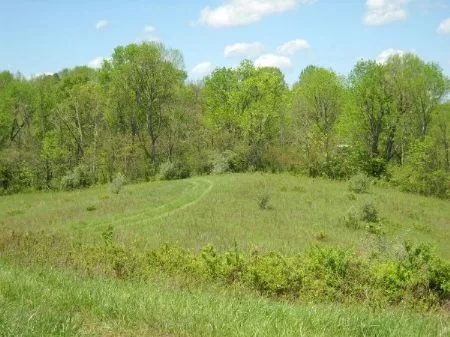 85 Acres Sand Rock Trails On Wayne property photo 1
