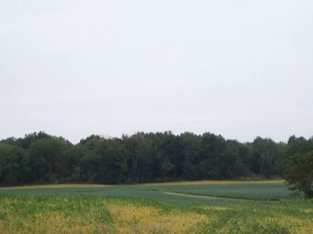56ac Hunting W/building Site property photo 1