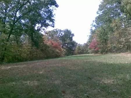 97 Acres W/farmhouse and Barn
