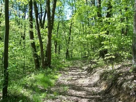 Very Close To Woodbury Wildlife property photo 1