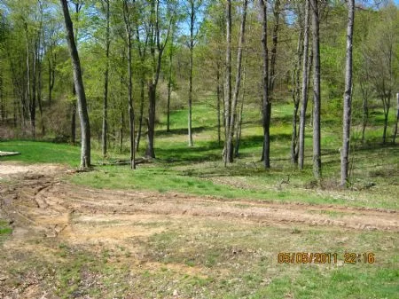 85 Acres Has A Trailer On It property photo 1