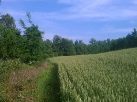 24 Acres Hot Location property photo 1