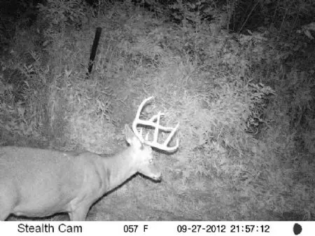150 Acres Very Cheap