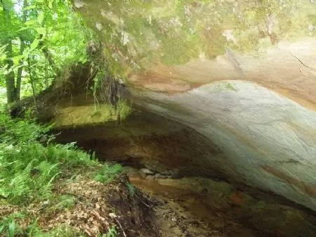 100 Acres Beautiful Property property photo 1