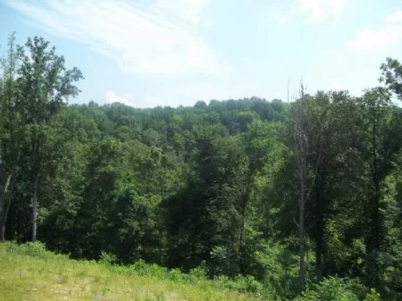100 Acres Near Ash Cave property photo 1