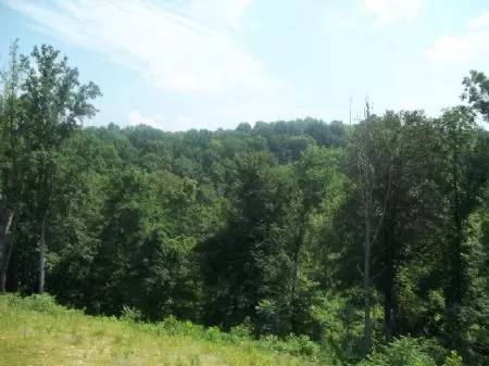 100 Acres Near Ash Cave