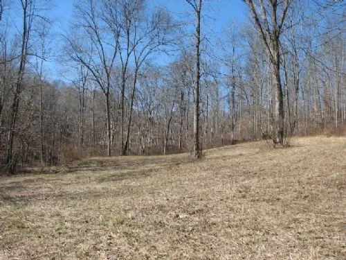 72 Acres Mineral Rights Transfer property photo 1