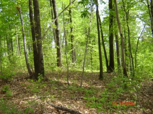 State&national Park Land On 2 Sides property photo 1