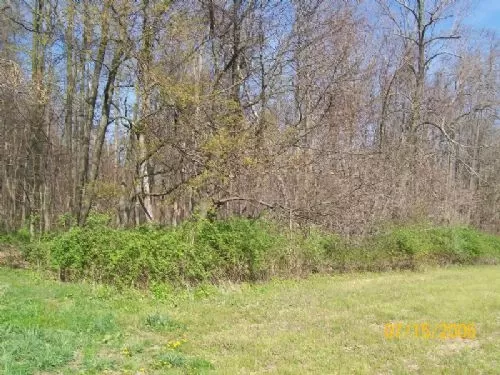 Hunting W/ Tillable Acreage