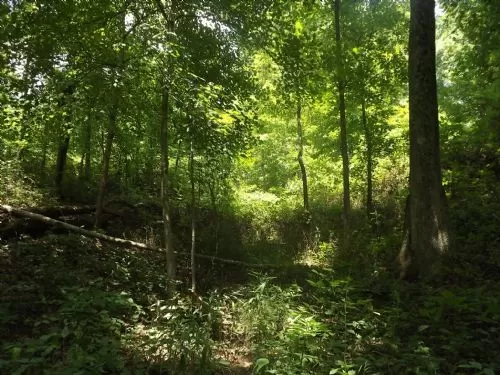 13+ Acres
